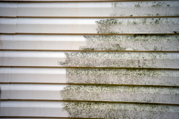 Best Yard Waste Removal  in Torrington, CT